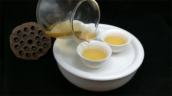 錆びた釘の水、本当に効く？アジサイの黄変を治す正しい鉄補給法