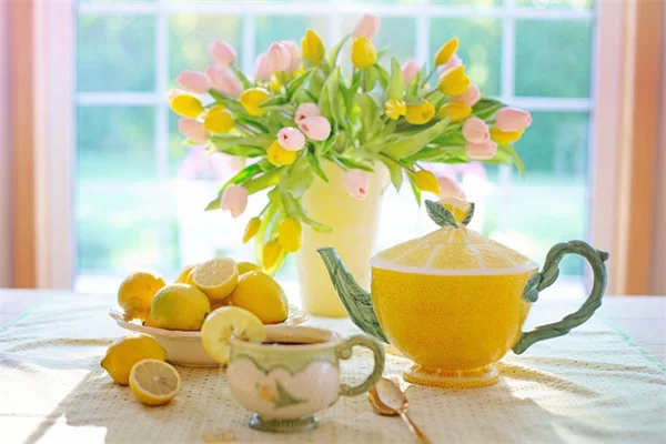 私が実践する！芝生用湿潤剤で夏も青々保つ3つのコツ
