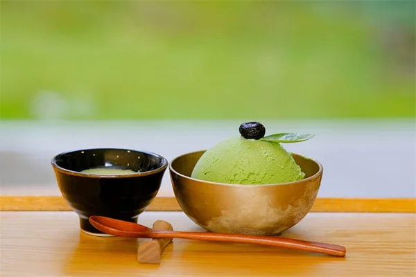 赤と緑の葉を持つ観葉植物5選：ギフトに最適な育て方のコツ