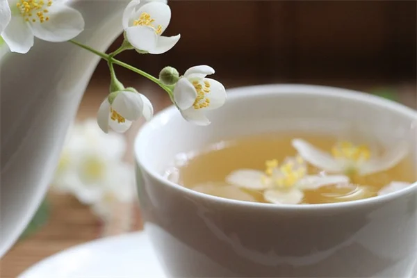 秋だからこそ！花の種の収穫と保存方法【発芽率アップのコツ】