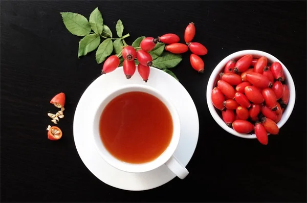 コーヒーかすが好きな植物7選｜正しい与え方と間違った使い方って知ってた？